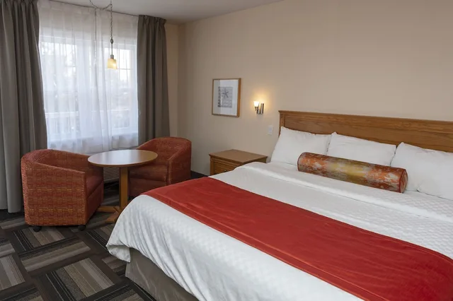 استوديو بسرير كينج، Hotel Motel Castel de la Mer 1/3
