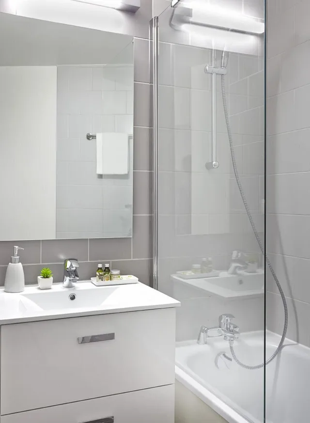 شقة بسرير مزدوج بغرفة نوم واحدة مع أريكة، Citadines Presqu Ile Lyon 2/2