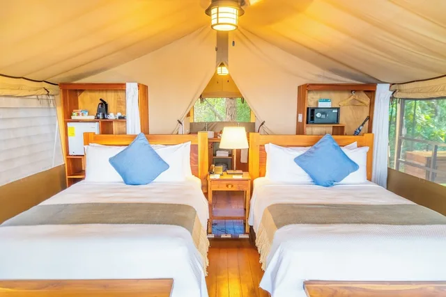 Family, Tent, Suite, 1 King and 2 Double Beds، Isla Chiquita Glamping Hotel 3/4