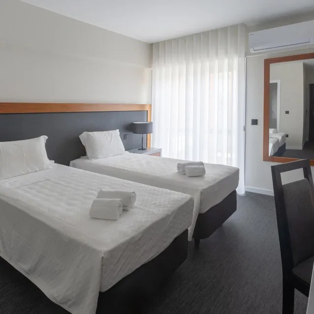 غرفة بسرير مزدوج أو سريرين منفصلين لذوي الإعاقة، Hotel Afonso V 2/6