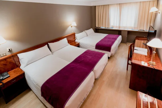 غرفة رباعية بسرير فردي، Hotel Sercotel Delfos Andorra 1/10