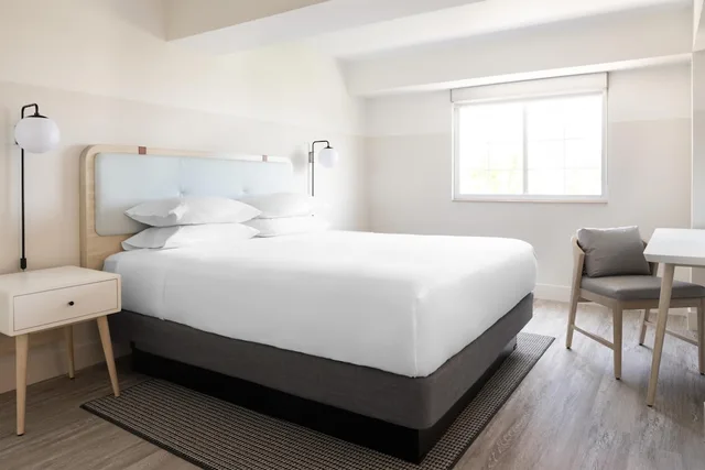 استوديو ديلوكس بسرير كينج مع أريكة بمطبخ صغير، Hampton by Hilton Grand Cayman Seven Mile Beach 1/1