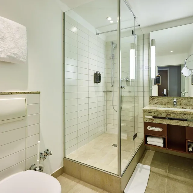 Superior, Suite, Mercure Hotel Dusseldorf City Center 8/10