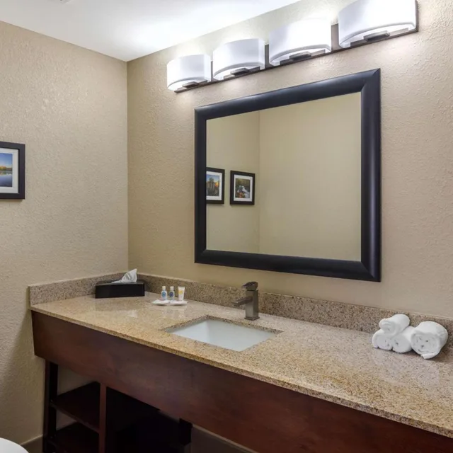 جناح تنفيذي بسرير كينج، Comfort Suites Woodstock - Atlanta North 6/6