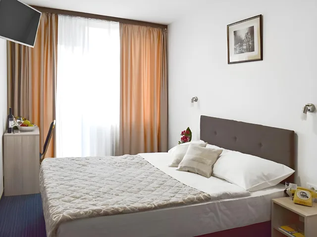 Plus, Standard, Single, Double Bed، Slavija Hotel 1/2