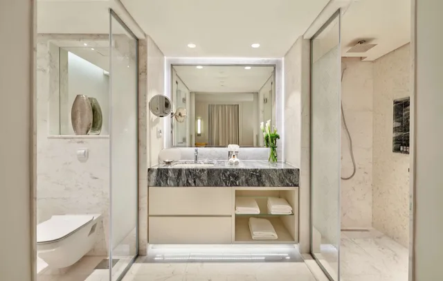 غرفة ديلوكس بسرير كينج بإطلالة على الحديقة، Hyatt Regency Addis Ababa 4/5