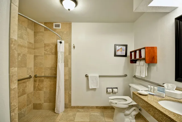 غرفة بسرير كينج لذوي الإعاقة، Hampton Inn Sarasota I 75 Bee Ridge 3/7