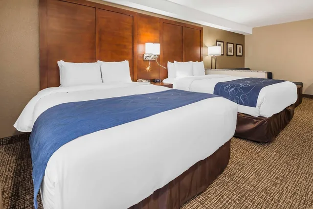 جناح بسريرين كوين لذوي الإعاقة، Comfort Suites El Paso Airport 1/9