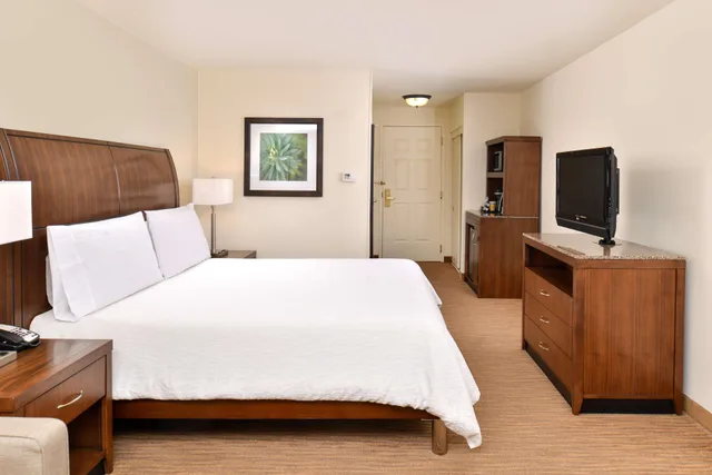 غرفة ديلوكس بسرير كينج مع أريكة بحوض جاكوزي، Hilton Garden Inn Dallas/Addison 1/3