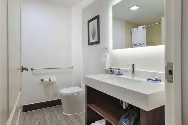 Suite, King Bed, The Leo Collection Detroit, an Ascend Collection Hotel 9/10