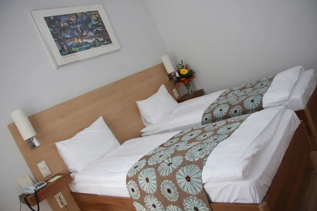 غرفة ديلوكس بسريرين منفصلين، Hotel Bristol Budapest 2/8