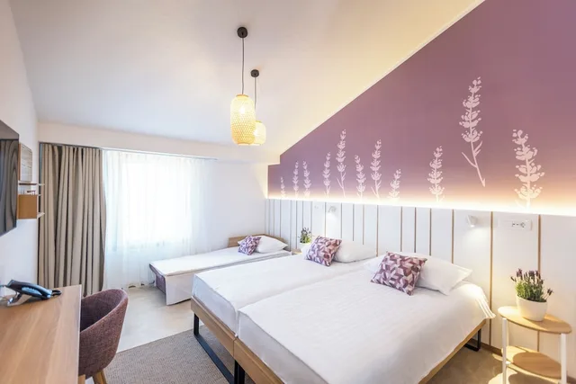 غرفة بسرير مزدوج مع سرير إضافي، Hotel Vile Park 1/10