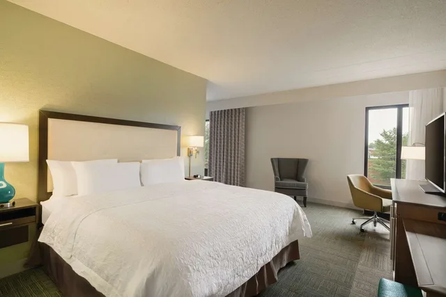 Mini, Suite, King Bed, Sofa، Hampton Inn Reading/Wyomissing 1/1