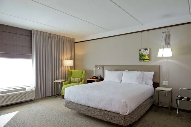 جناح جونيور بسرير كينج مع أريكة، HILTON GARDEN INN MARTINSBURG 1/2