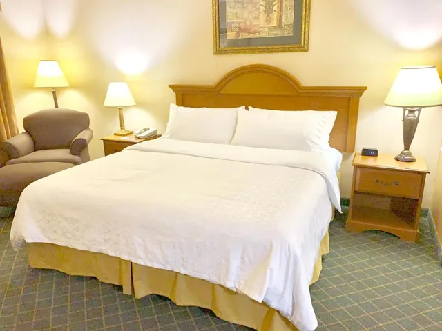 جناح بسرير كينج بمنطقة جلوس، Holiday Inn Express Hotel Suites Alice 6/7