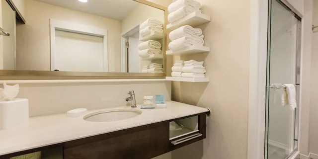 جناح استوديو بسرير كينج مع أريكة، Hampton Inn Suites Charlotte Ballantyne Nc 3/7