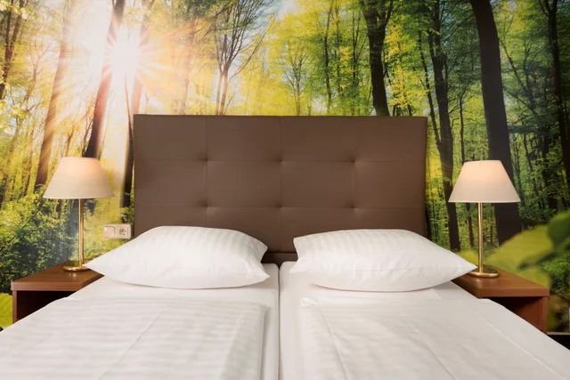 غرفة كلاسيكية مزدوجة، AHORN Waldhotel Altenberg 5/6