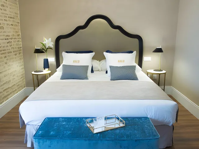 غرفة أساسية بسرير مزدوج في الطابق الأرضي، Halo Boutique Hotel Sevilla 1/1