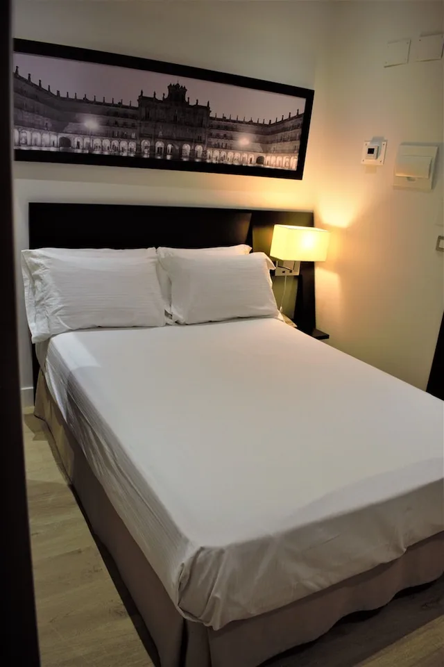 غرفة أساسية مفردة بسرير مزدوج، Hotel Sercotel Las Torres Salamanca 1/3