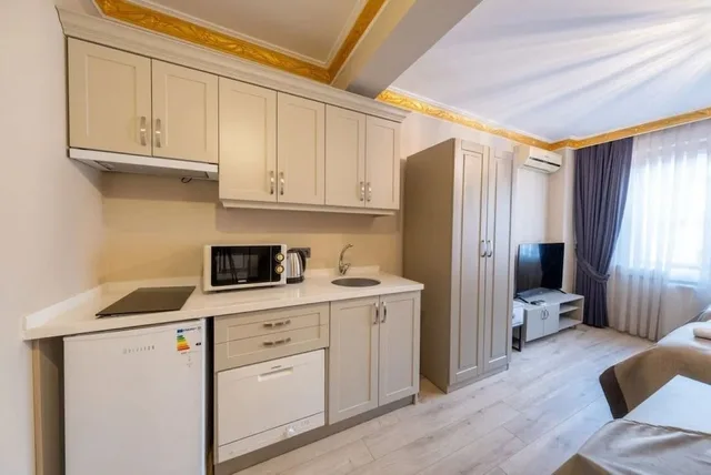 استوديو عائلي بسريرين منفصلين بإطلالة على المدينة مع أريكة بمطبخ، Taksim No 44 Hotel & Suites 2/3