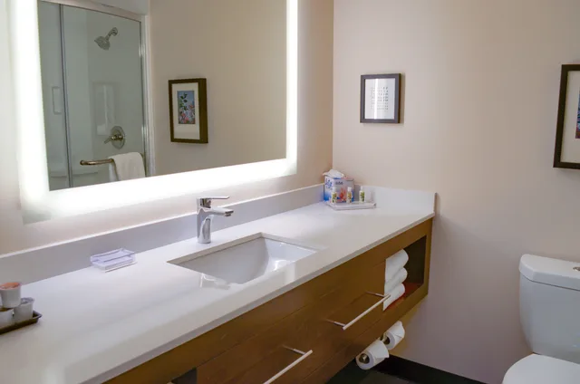 غرفة بسرير كينج، Holiday Inn Mobile West - I-10 6/7