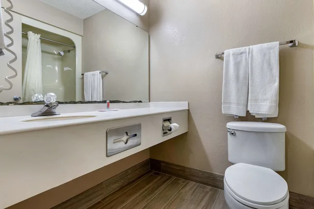 غرفة قياسية بسرير كوين، Econo Lodge Florence - Darlington 3/3