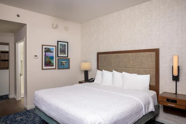 جناح بسرير كينج مع أريكة لذوي الإعاقة، Hampton Inn Suites Asheville I 26 2/7