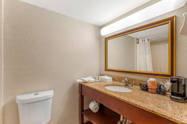 Efficiency, King Bed، Clarion Hotel & Conference Center Lansing West 4/4