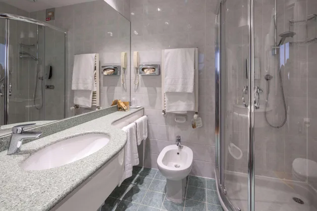 غرفة قياسية مفردة بسرير مزدوج، Best Western Air Hotel Linate 2/2