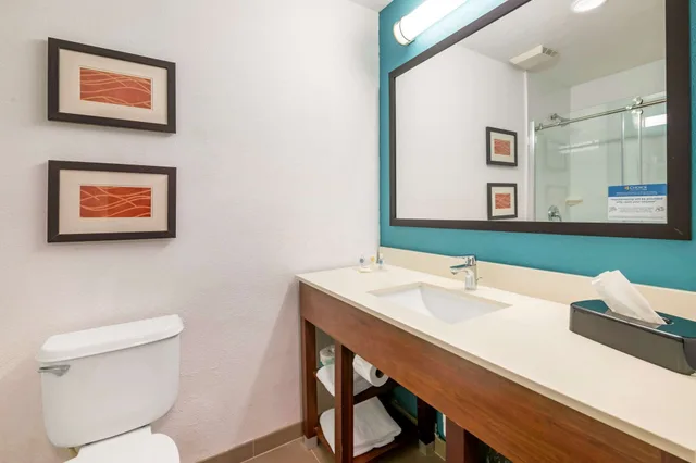 جناح بسرير كينج مع أريكة، Comfort Inn & Suites Fort Lauderdale West Turnpike 5/6
