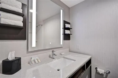 غرفة بسرير كينج بحوض استحمام لذوي الإعاقة، Hilton Garden Inn Tulsa-Broken Arrow 3/3