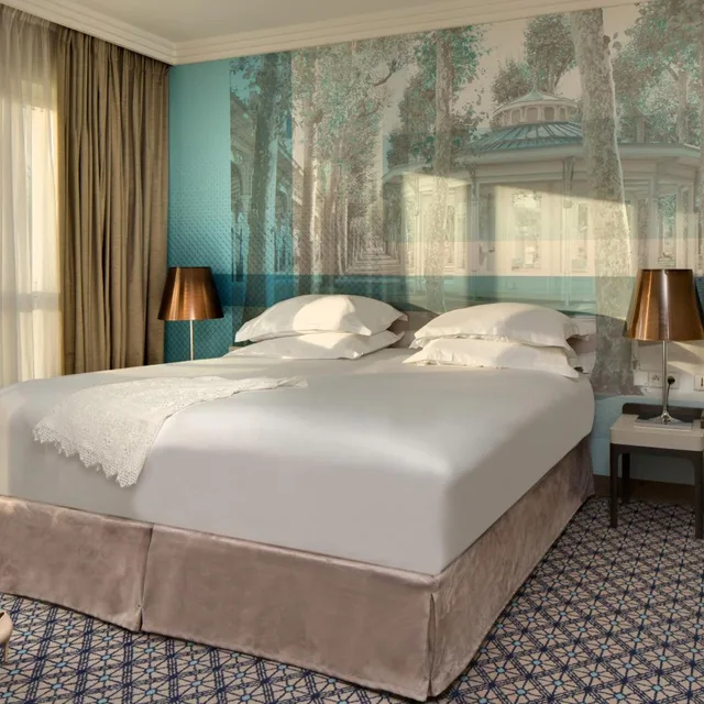 جناح فاخر، Vichy Celestins Spa Hotel 1/5