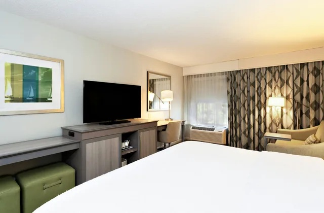 Study, King Bed, Sofa، Hampton Inn Melbourne 2/3