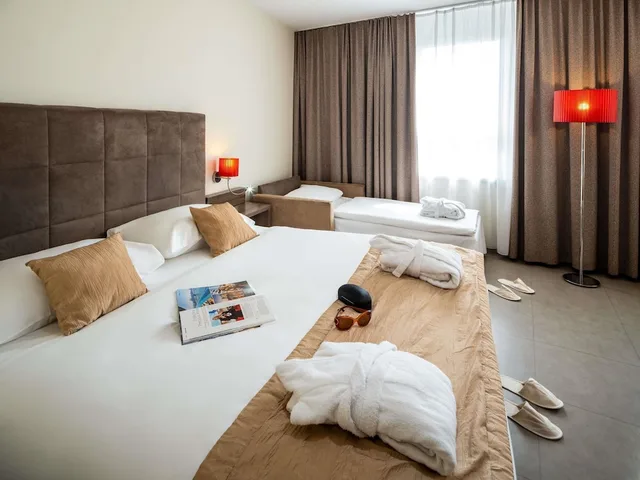 غرفة بريفيليج بسرير مزدوج مع أريكة، Mercure Graz City Hotel 3/6