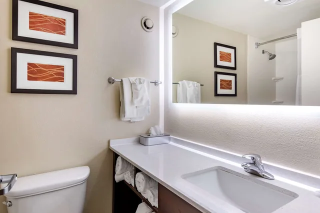 غرفة قياسية بسرير كينج مع أريكة، Comfort Inn Staunton 9/9