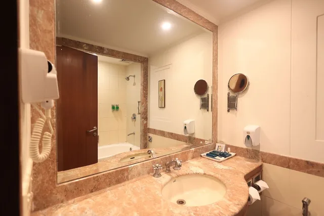 جناح فاخر بسرير مزدوج بإطلالة على المدينة، SAVOY SUITES Noida 7/8