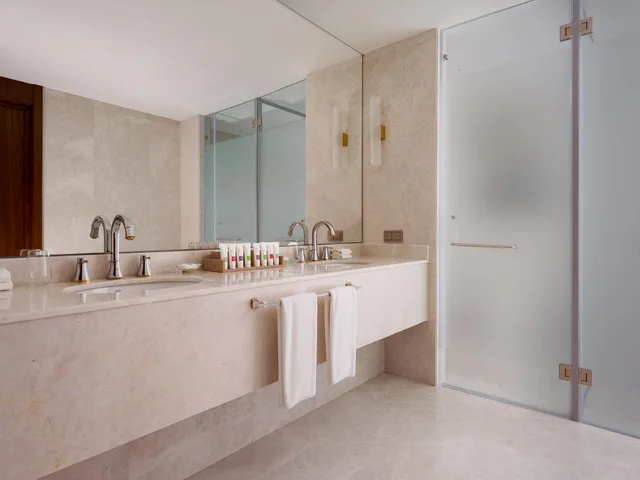 جناح جونيور تنفيذي بانورامي بسرير كينج بإطلالة على الجبل، Swissotel Wellness Resort Alatau Almaty 9/9