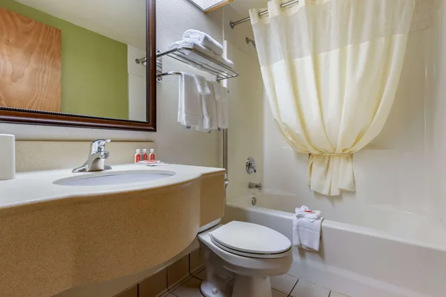 غرفة قياسية بسرير كينج، Econo Lodge Cherokee, NC 7/7