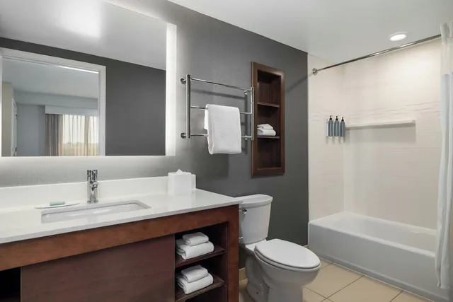 جناح بسرير كينج بغرفة نوم واحدة مع أريكة، RESIDENCE INN CHAMPAIGN 4/5