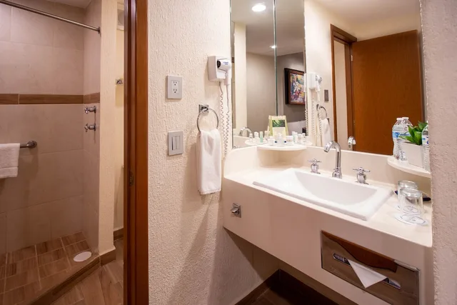 غرفة تنفيذية بسرير مزدوج، Guadalajara Plaza Expo Business Class 4/5