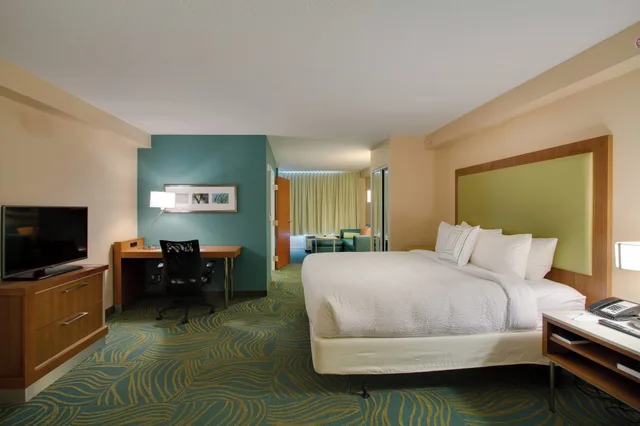 استوديو بسرير كينج مع أريكة لذوي الإعاقة، SpringHill Suites Orlando Lake Buena Vista South 1/3