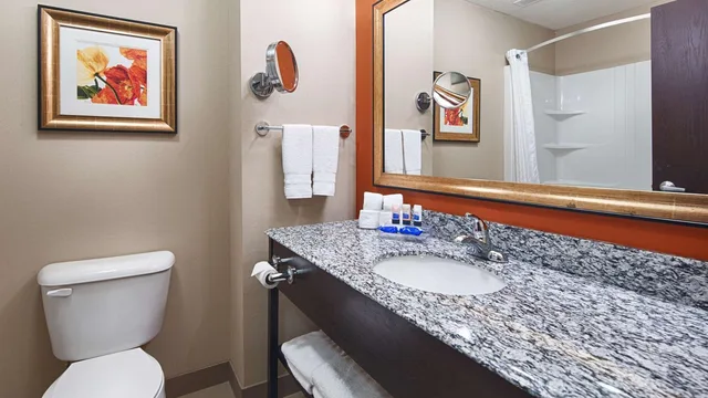 جناح بسرير كينج مع أريكة، Best Western Plus Washington Hotel 6/7