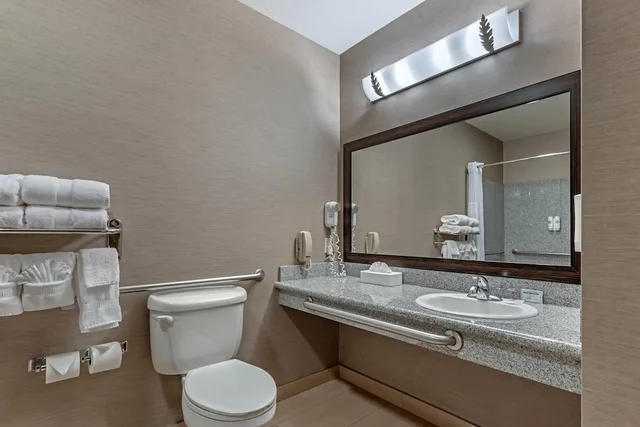 غرفة قياسية بسرير كينج، Comfort Suites Boise West Meridian 4/5