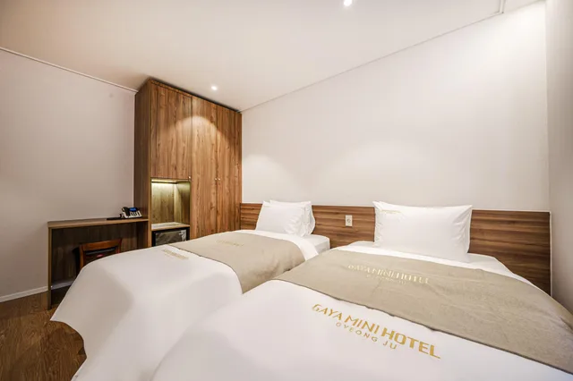 غرفة سوبيريور بسريرين منفصلين، GAYA MINI HOTEL 1/1