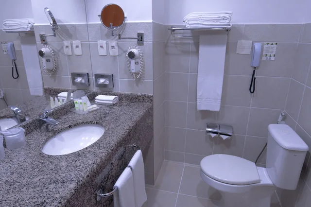 Premium, Single Bed, Holiday Inn Manaus 7/8