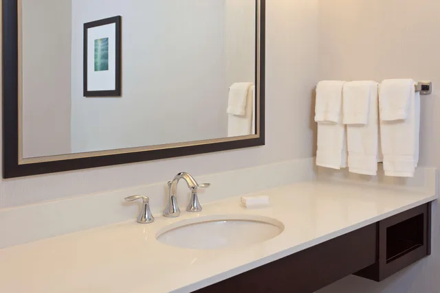 جناح بسرير كينج بغرفة نوم واحدة لذوي الإعاقة، Hilton Garden Inn Irvine / Orange County Airport 3/3