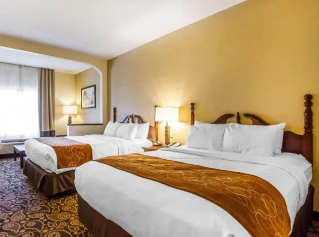 جناح، Comfort Suites Daphne - Mobile East Bay 1/10