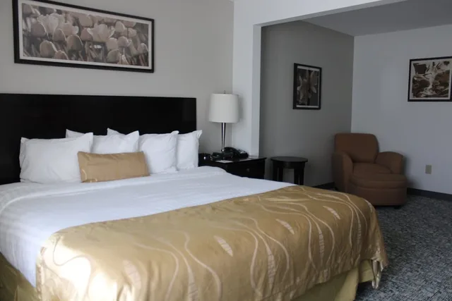 Standard, King Bed, Wingate By Wyndham Houma LA 1/5