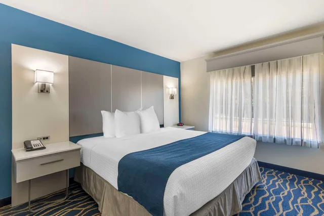 جناح بسرير كينج مع أريكة يُسمح فيها بالحيوانات الأليفة، Best Western Plus Lake Lanier Gainesville Hotel & Suites 1/3