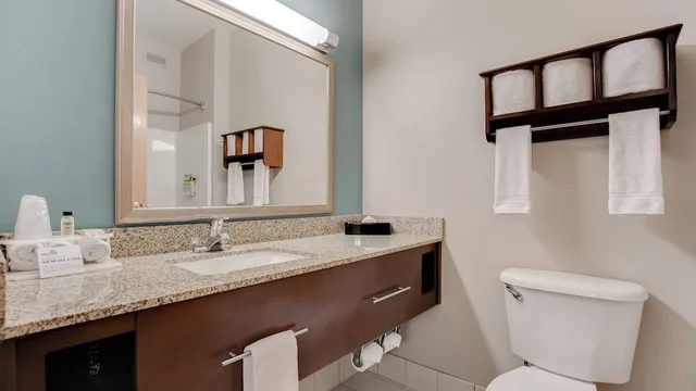 جناح بسرير كينج لذوي الإعاقة، Holiday Inn Express Hotel And Suites St Cloud 2/4